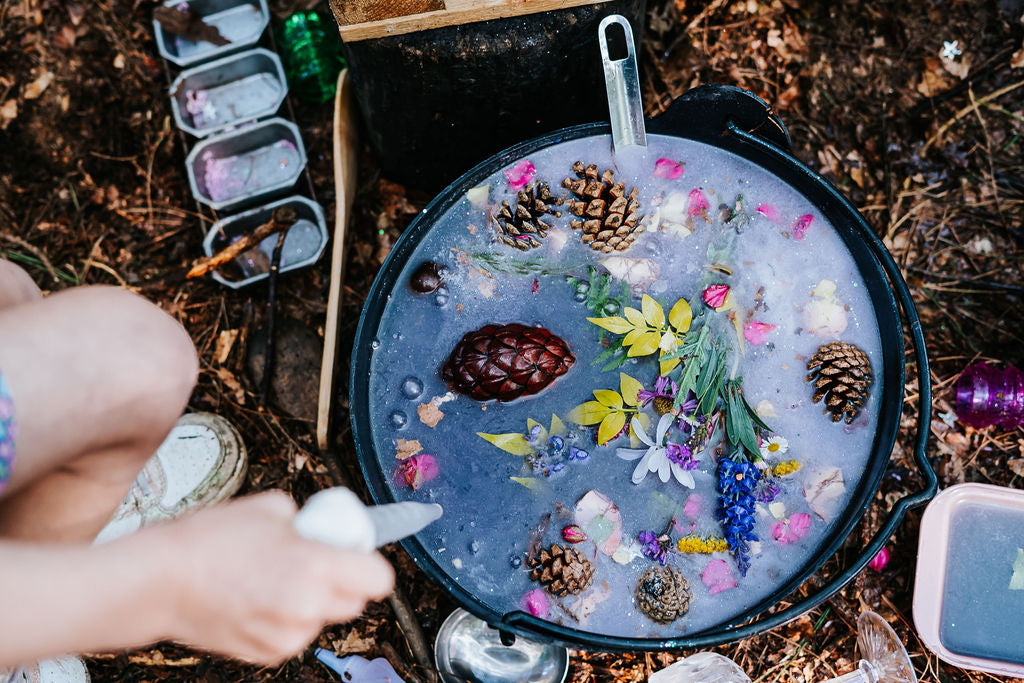 FOREST SCHOOL LEADER ACCELERATOR PROGRAM (Training & Mentorship)